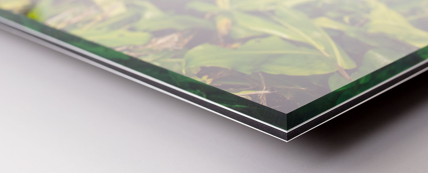 Impression sous Plexiglas / Plexi collage façon Diasec