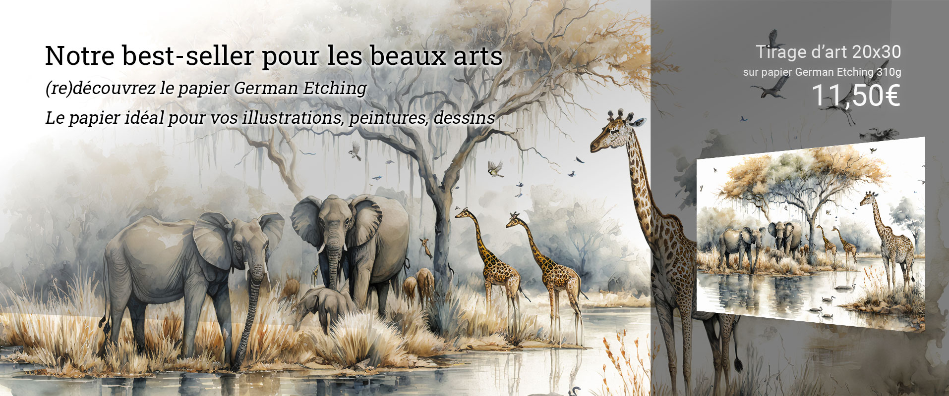 Impression d'illustrations