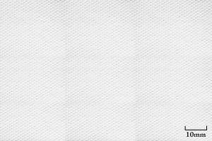 Hahnemühle Monet canvas 410g