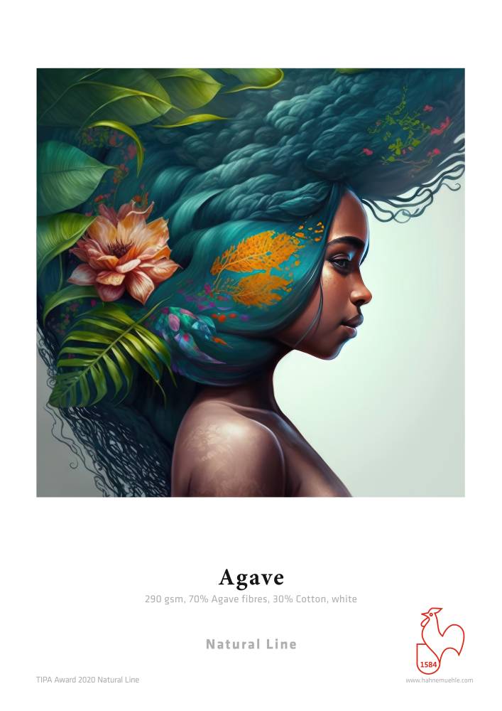 Hahnemühle Agave 290g