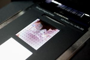 Scan 24x36mm / 6300dpi / Hasselblad Flextight X1