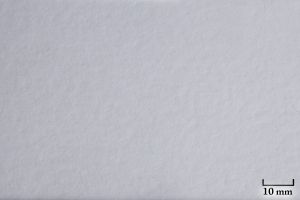 Epson Photo Traditionnel 300g