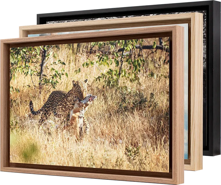 Caisse Américaine Tirage Fine Art sur Dibond® encadré en caisse américaine