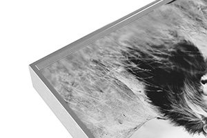 Cadre alu 34 argent poli